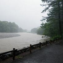 a0800_000741.jpg